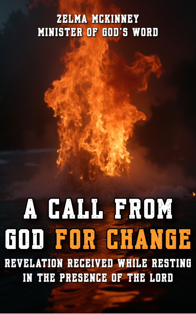 Cover of A Call From God for Change by Zelma McKinney